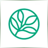 Evergreen Valley College