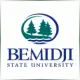 Bemidji State University - Economics School Ranking