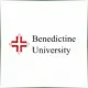 Benedictine University - Economics School Ranking