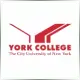 CUNY York College - Economics School Ranking