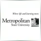 Metropolitan State University - Economics School Ranking
