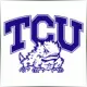Texas Christian University - Economics School Ranking