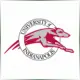 University of Indianapolis - Economics School Ranking