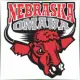 University of Nebraska at Omaha - Economics School Ranking