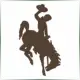 University of Wyoming - Economics School Ranking