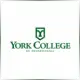 York College Pennsylvania - Economics School Ranking